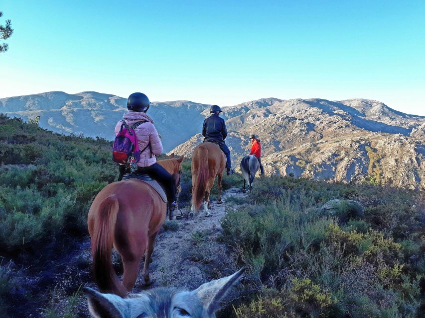 1 geres braga horseback ride in peneda geres national park Gerês Braga: Horseback Ride in Peneda Gerês National Park