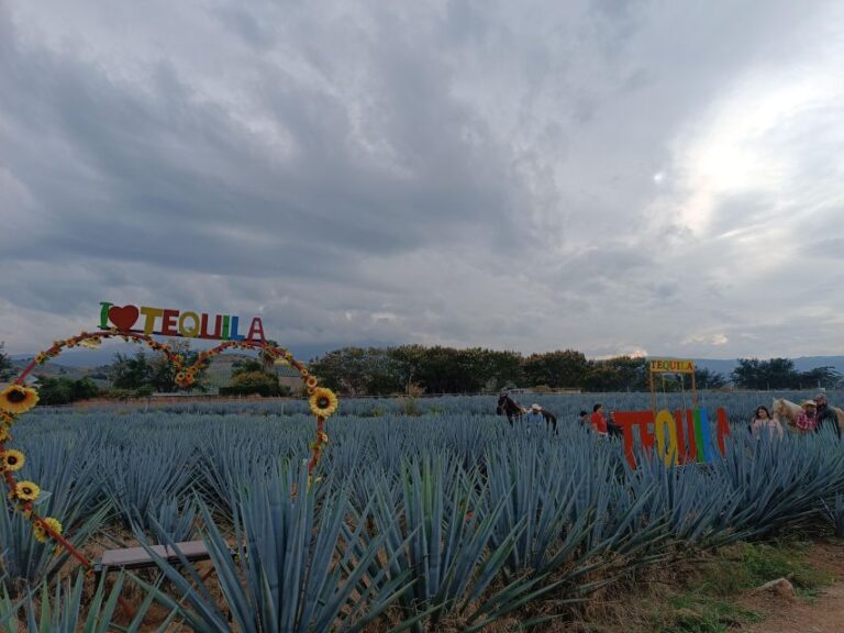 Get on Chile: Know Everything About Tequila in “La Rienda”