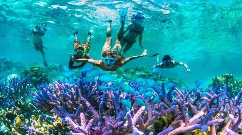 1 gili islands underwater statues cruise and snorkeling Gili Islands: Underwater Statues Cruise and Snorkeling