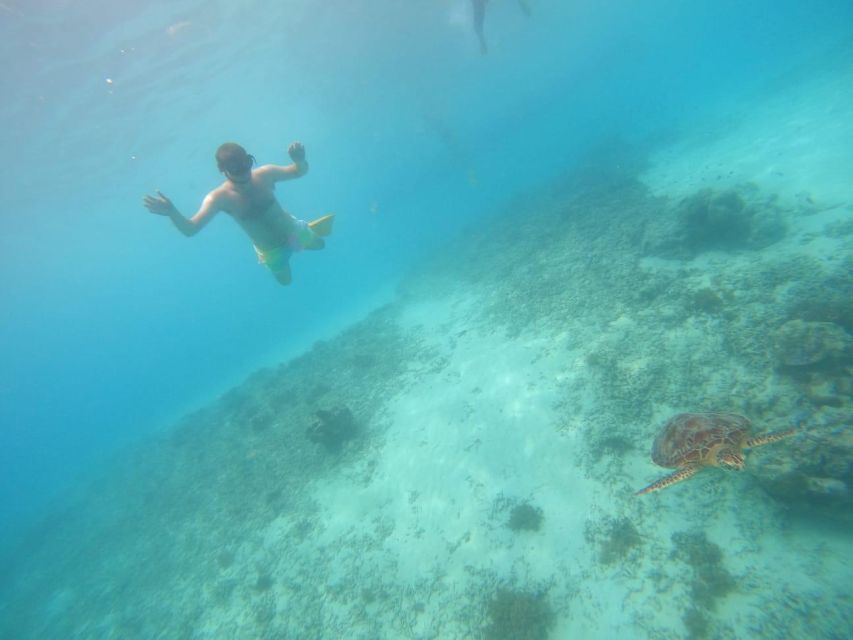 1 gili t island gili snorkeling day trip swim with turtles Gili T Island: Gili Snorkeling Day Trip Swim With Turtles
