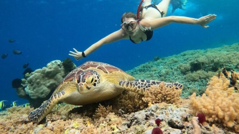 Gili Trawangan: Gili Island 3 Spots Snorkeling With Turtle