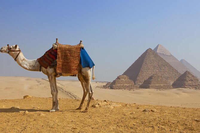 1 giza pyramids and egyptian museum tours Giza Pyramids and Egyptian Museum Tours