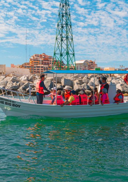 1 glass bottom boat whale watching Glass Bottom Boat Whale Watching