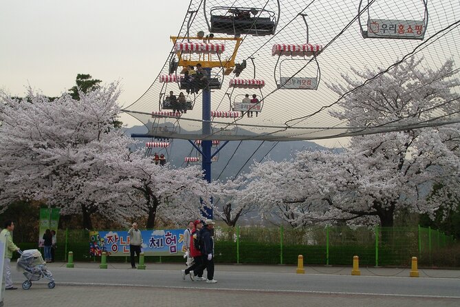 Go City: Seoul Explorer Pass – Choose 3, 4, 5, 6 or 7 Attractions