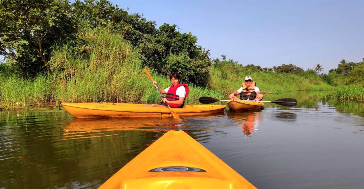 1 goa backwaters and mangrove kayaking Goa: Backwaters and Mangrove Kayaking Experience