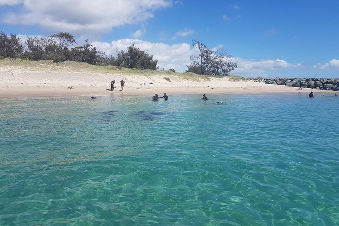 Gold Coast Try-Scuba Experience at Wave Break Island