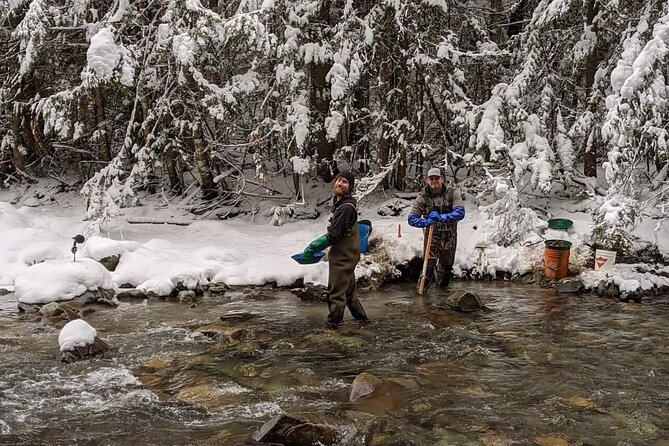 Gold Panning Activity at Mission Creek