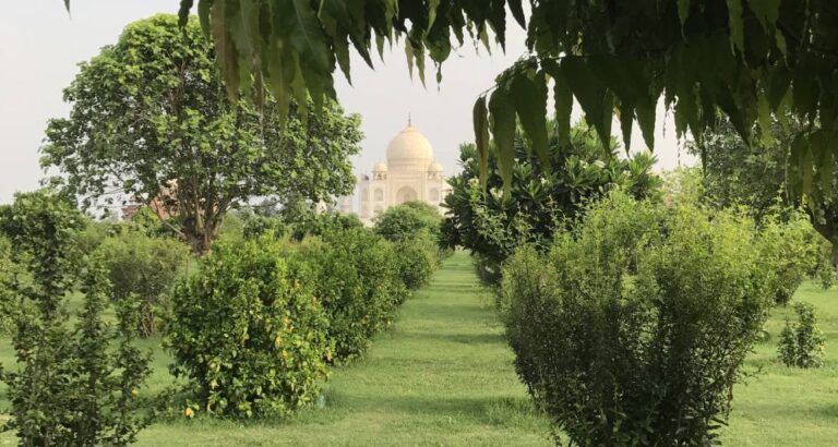 Golden Hour at the Taj: A Sunrise Delight in Agra