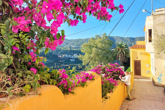 Gran Canaria 7 Beauty Small Group Tour With Tapas-Picnic Included