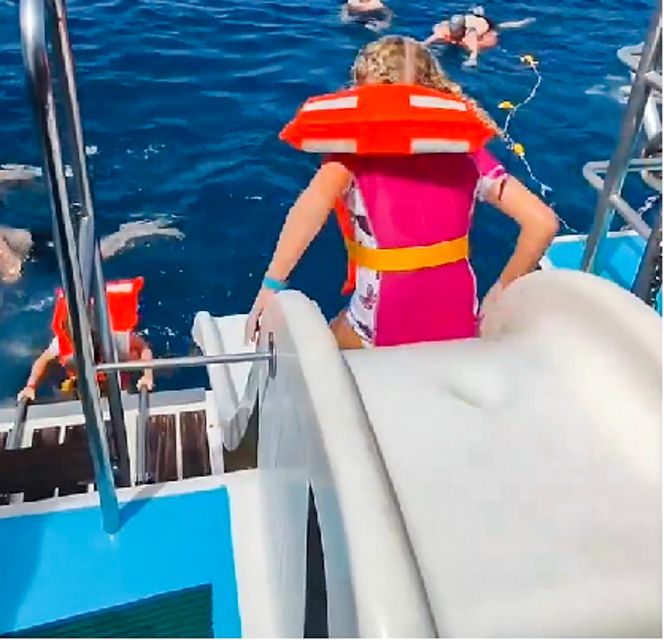 Gran Canaria: Catamaran Dolphin Watch Cruise With Snorkeling