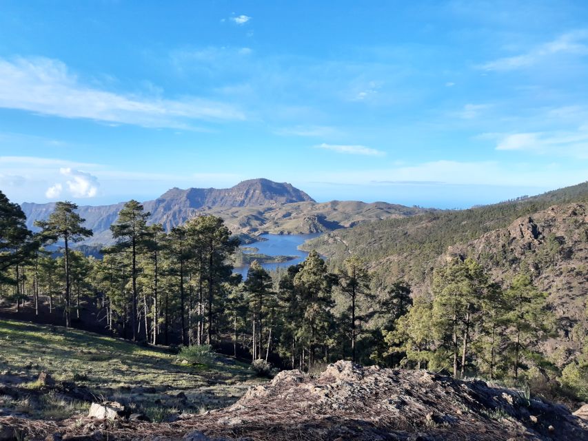 1 gran canaria peaks of gran canaria hiking tour Gran Canaria: "Peaks of Gran Canaria" Hiking Tour