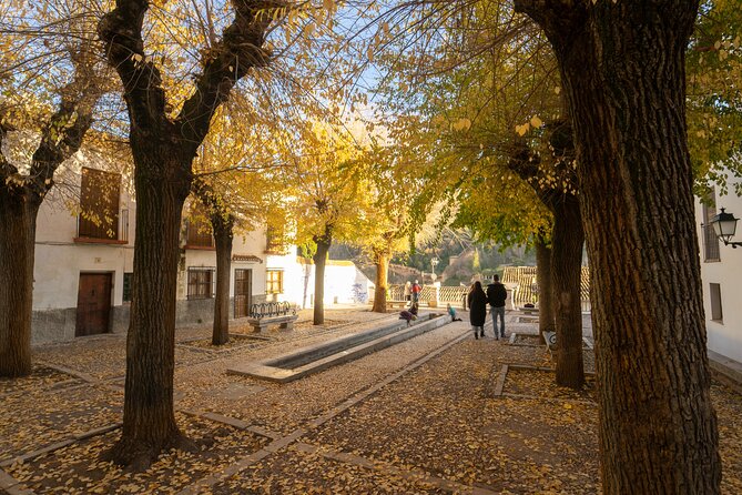 Granada Albaicín & Sacromonte: Private Walk Tour in the Old Town