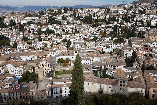 Granada History, Heritage and Culture Guided Tour - Architectural Marvels to Explore