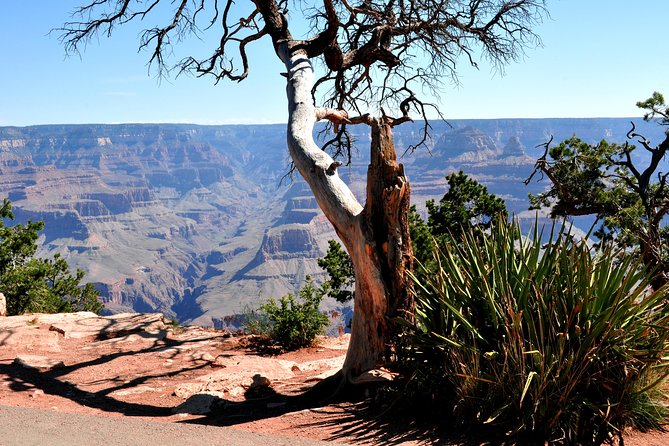 Grand Canyon National Park VIP Tour From Las Vegas