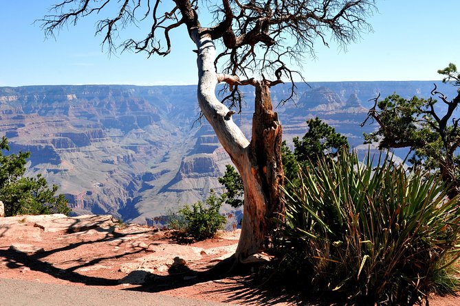 1 grand canyon national park vip tour from las vegas Grand Canyon National Park VIP Tour From Las Vegas