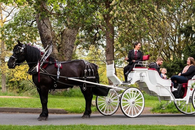 Grand Horse-Drawn Carriage Tour of Victoria