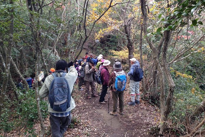 1 granite obelisk in yakushima full day trekking tour Granite Obelisk in Yakushima Full-Day Trekking Tour