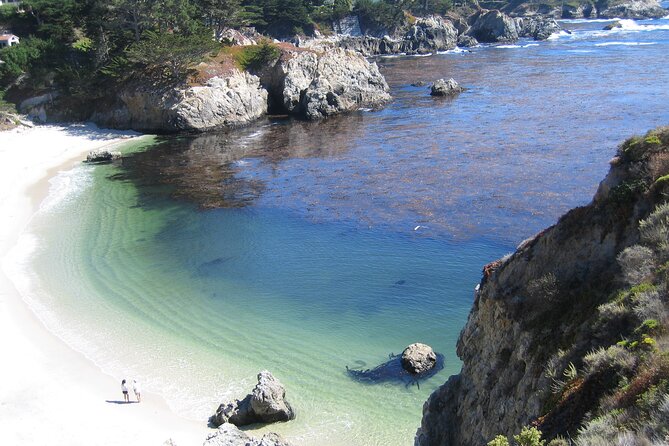 Guided 2-Hour Point Lobos Nature Walk