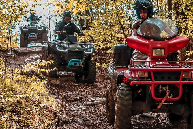 Guided ATV Adventure Tours in Kaladar