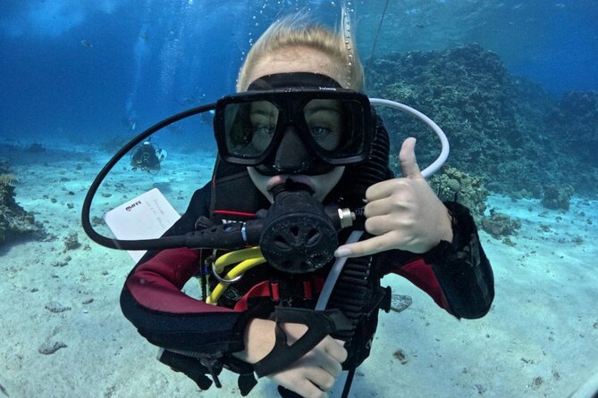 Guided Diving Experience for Padi OW in Red Sea and Sinai