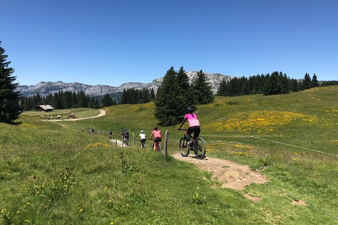 Guided E-Bike Mountain Bike Tour at Mandallaz Mountain