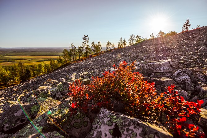 Guided Easy Hike in Finland Deepest Gorge in Pyhä-Luosto National Park