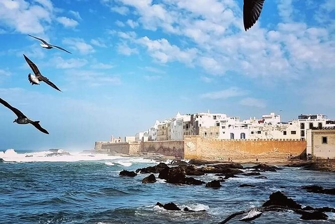 Guided Essaouira Day Trip From Agadir & Taghazout