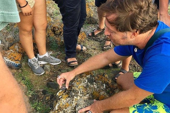 Guided Geological Excursion to Ustica