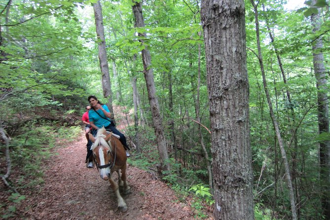 Guided Horseback Ride Through Flame Azalea and Fern Forest