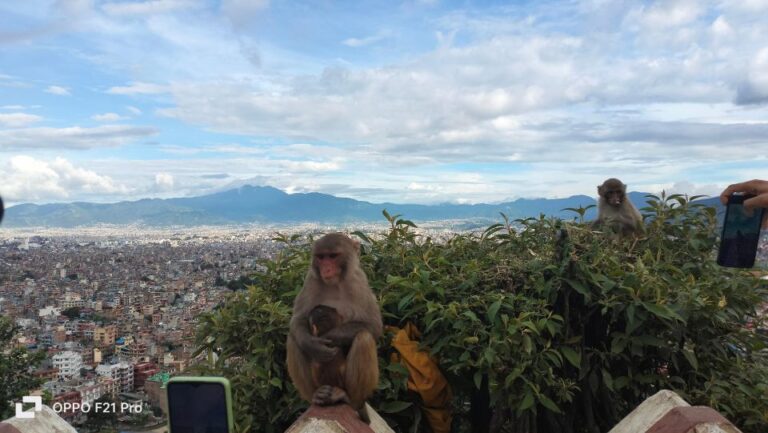 Guided Kathmandu Heritage Full-Day Tour