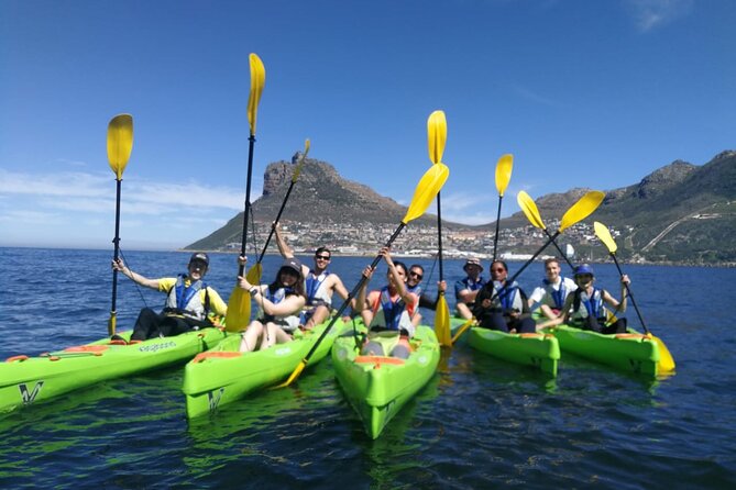 1 guided kayaking in hout bay Guided Kayaking in Hout Bay