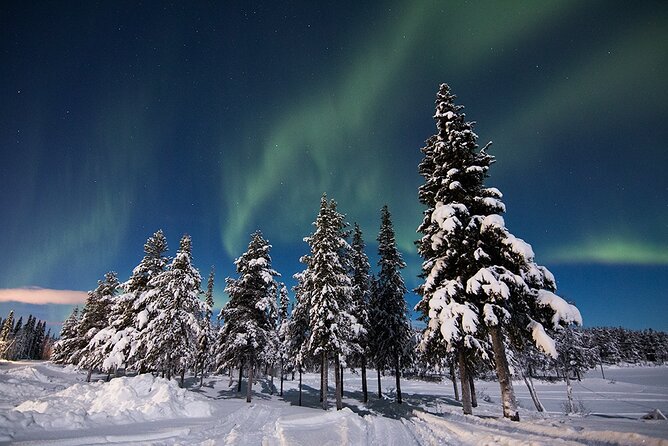 Guided Northern Lights Tour at Kiruna