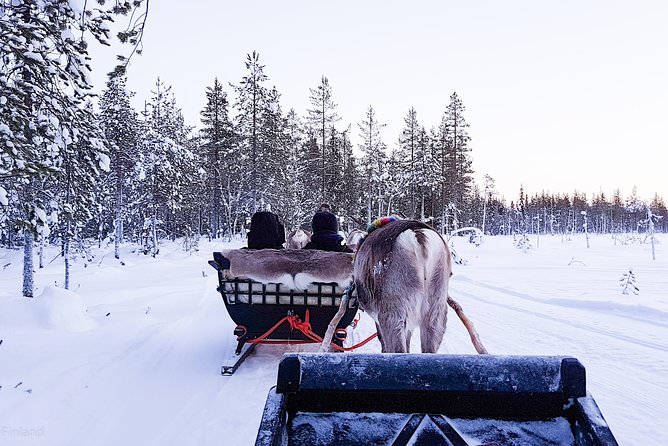 Guided Reindeer Farm Visit and One Hour Sledge Safari - Meeting Point Location