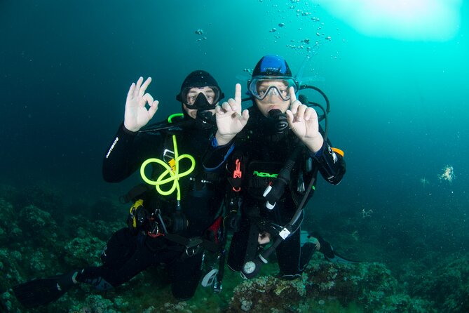 Guided Scuba Diving for Beginners Without License From Sorrento (5 Hours)