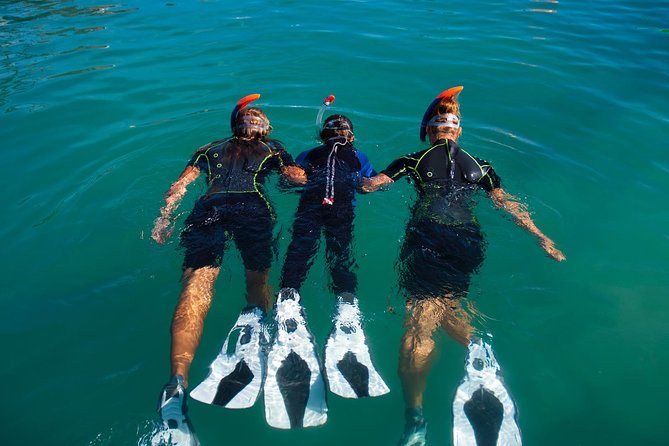 Guided Snorkeling Experience in Caleta De Fuste