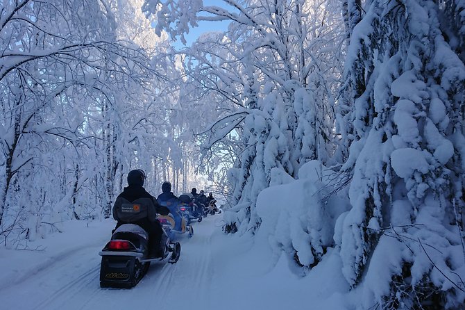 Guided Snowmobile Safari in Central Finland (Mar )