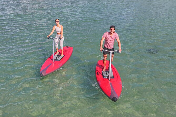 Guided Step-Up Paddle Board Tour of Narrabeen Lagoon