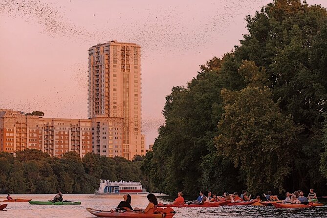 1 guided sunset bat kayak tour in austin Guided Sunset Bat Kayak Tour in Austin