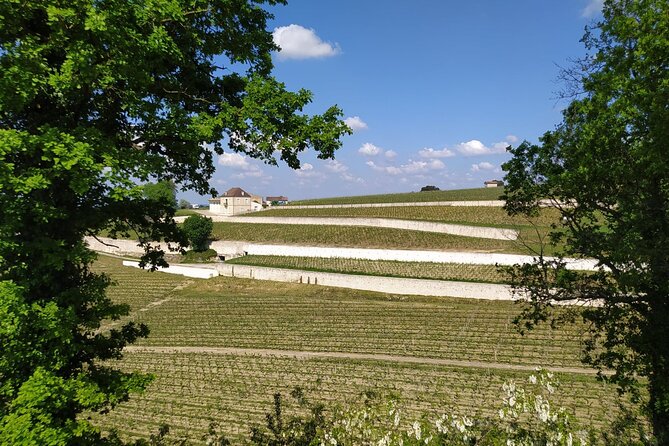 1 guided tour of the vineyard of saint emilion on foot Guided Tour of the Vineyard of Saint Emilion on Foot