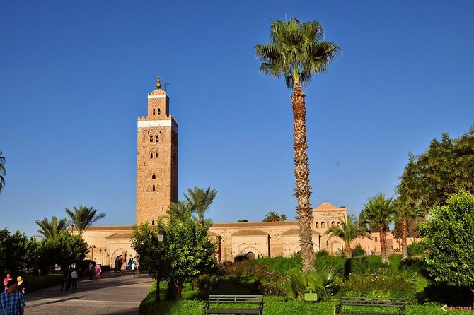 Guided Unveiling the Medinas Wonders of Marrakech