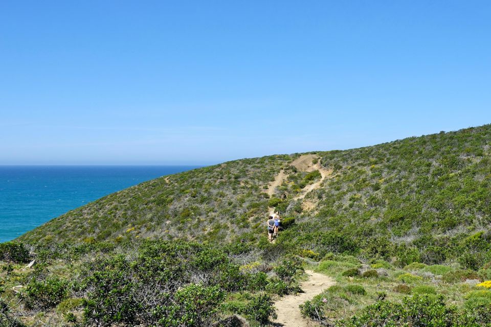 Guided WalkPicnic: Western Algarves Wild Beauty