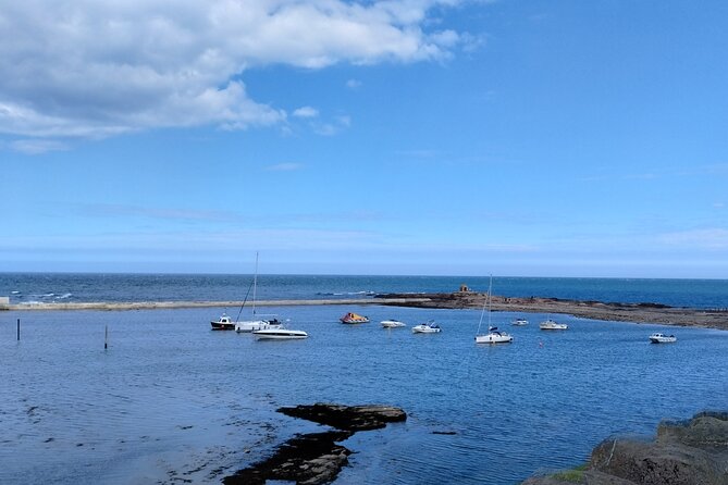 Guided Walks and Tours, Seahouses, Beadnell & Bamburgh