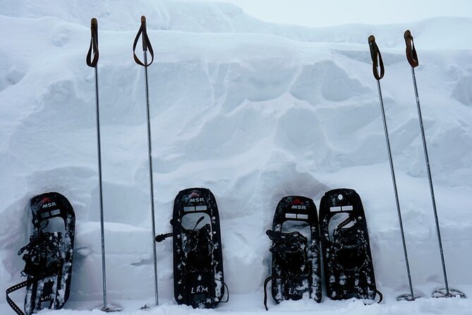 Guided Wilderness Snowshoes Expedition Tour in Rovaniemi
