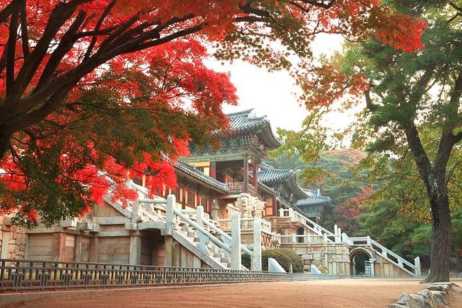 Gyeongju ONE-DAY Highlights for PRIVATE CRUISE PASSENGERS