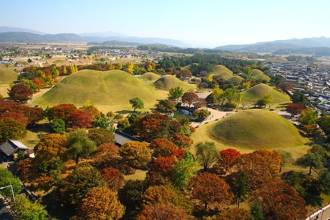 Gyeongju Private Tour With Hidden Gem by Local Tour Guide