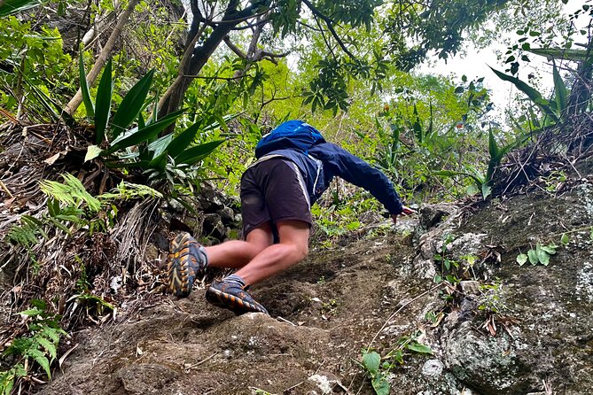 1 half day adventure hike in ribeira grande Half-Day Adventure Hike in Ribeira Grande.