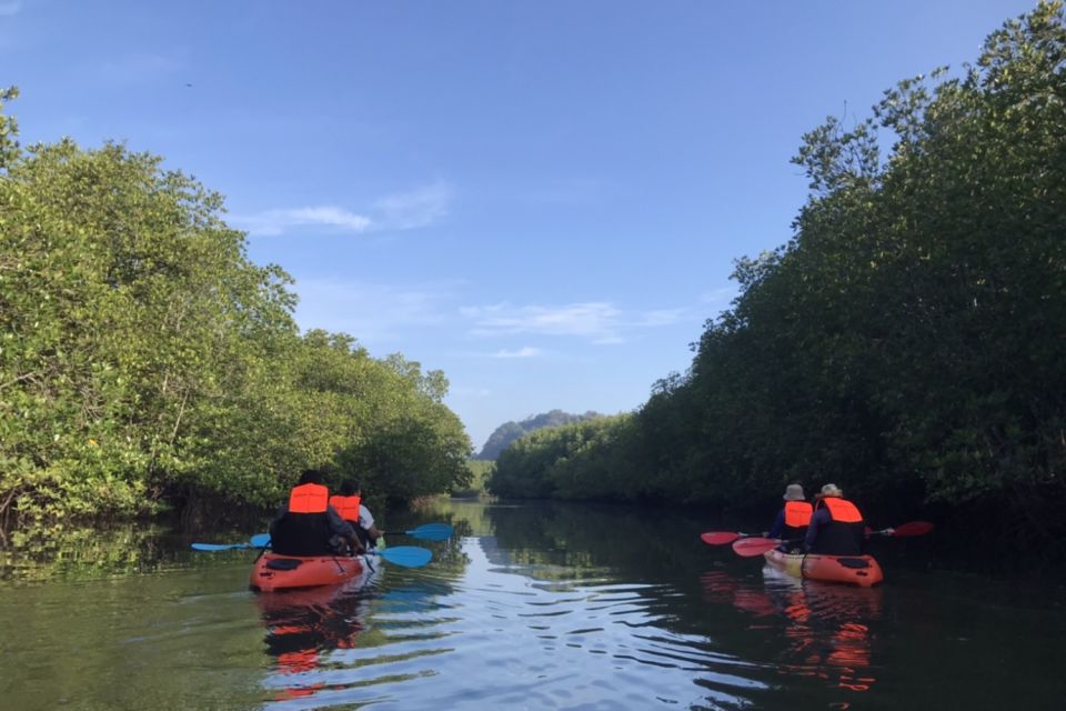 1 half day adventure kayaking at mangrove forest Half Day Adventure Kayaking at Mangrove Forest