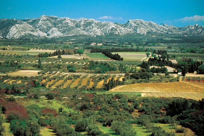 Half-Day Alpilles and Olive Oil Tasting From Avignon