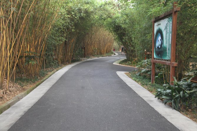 1 half day chengdu panda research base private tour Half-Day Chengdu Panda Research Base Private Tour