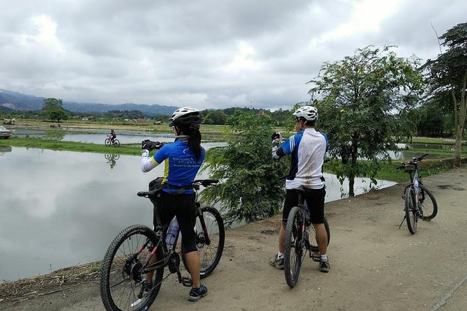 Half Day Cycling Tour to the White Temple